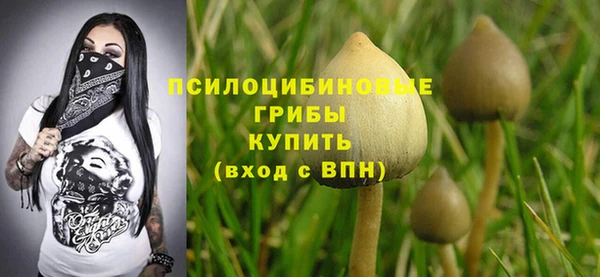mdma Карпинск