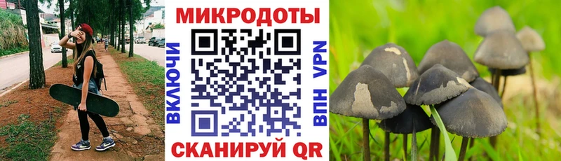 Галлюциногенные грибы мухоморы  где найти наркотики  Кукмор 
